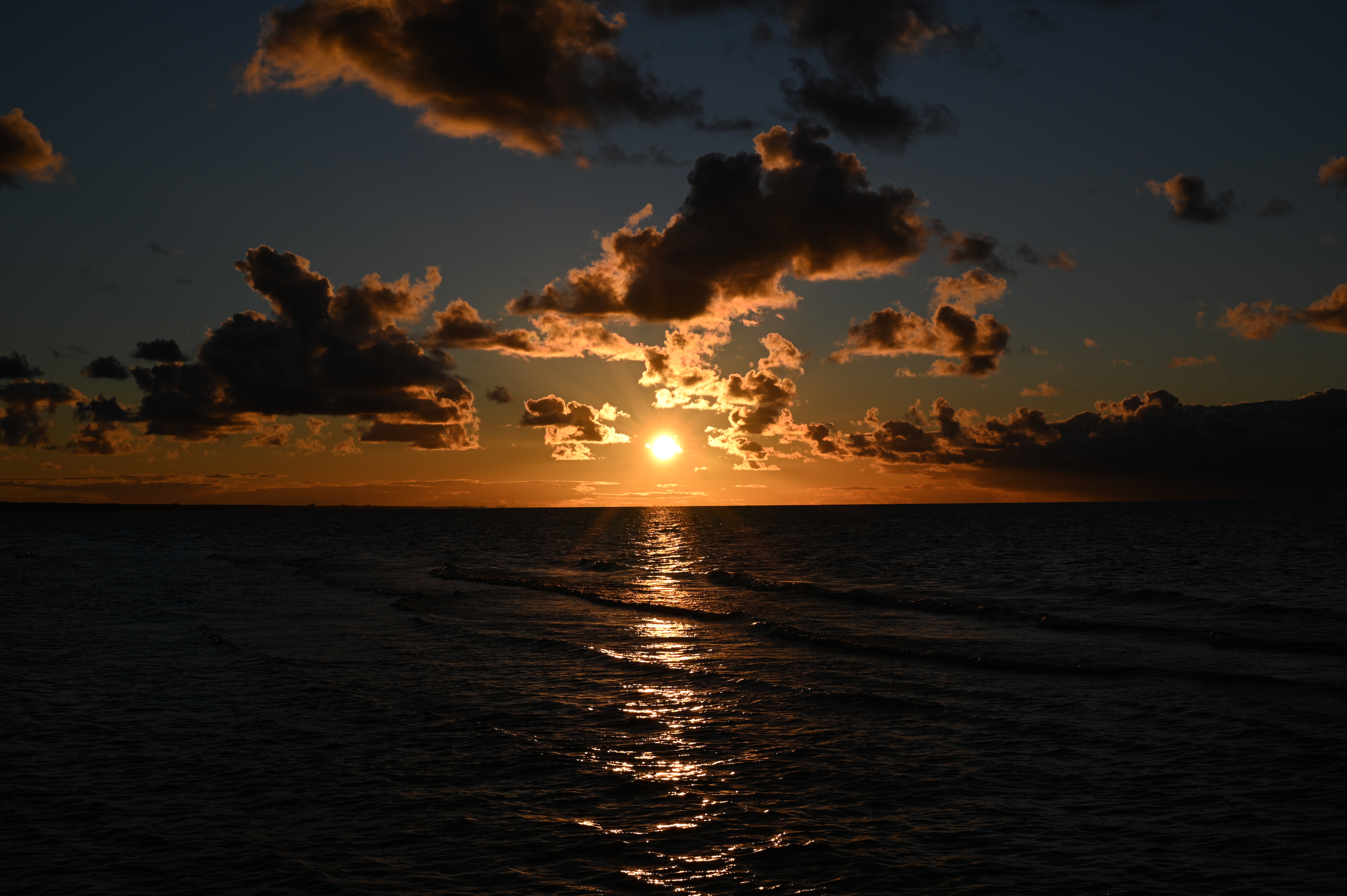 2025/10/18 - walk/DSC_0365.JPG